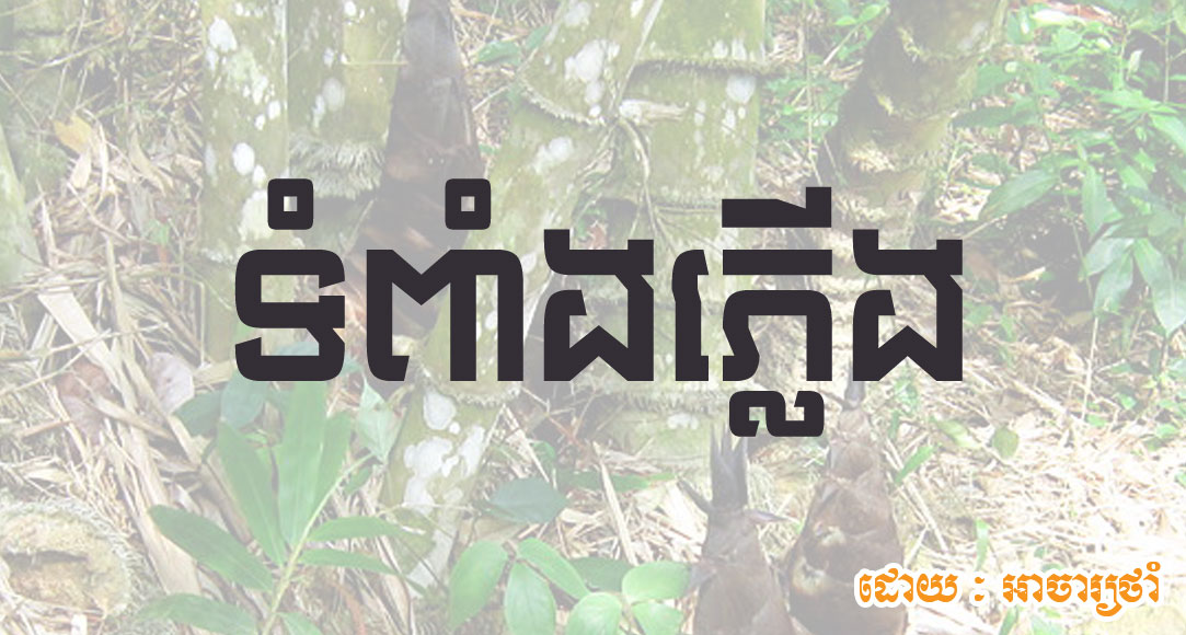 Boiyay-Today-03072018