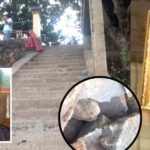 A3C69969-C267-4A42-BE14-9ABEBE93B56401