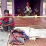 Rasmeinews-4-25022019